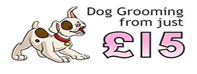 bath and brush out dog grooming from just £15